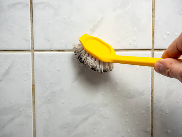 Best Fast Mold Removal  in Sundown, TX